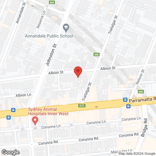 Google map for 66 Albion Street, Annandale 2038, NSW