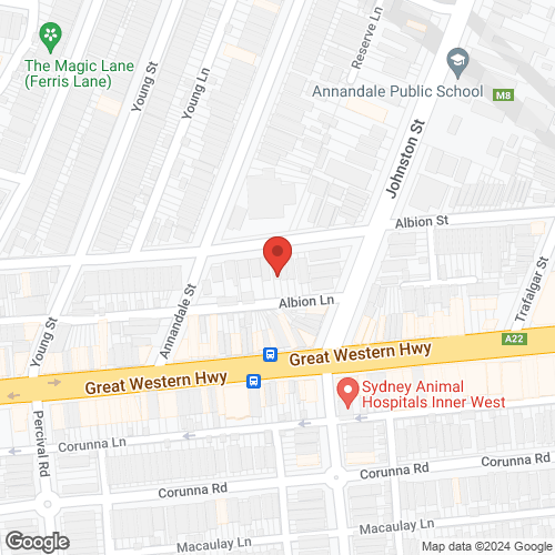 Google map for 98 Albion Street, Annandale 2038, NSW